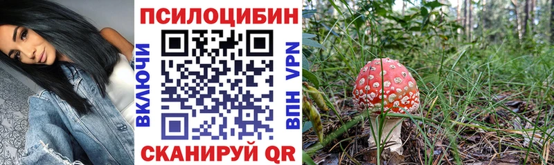 Псилоцибиновые грибы Magic Shrooms Гдов